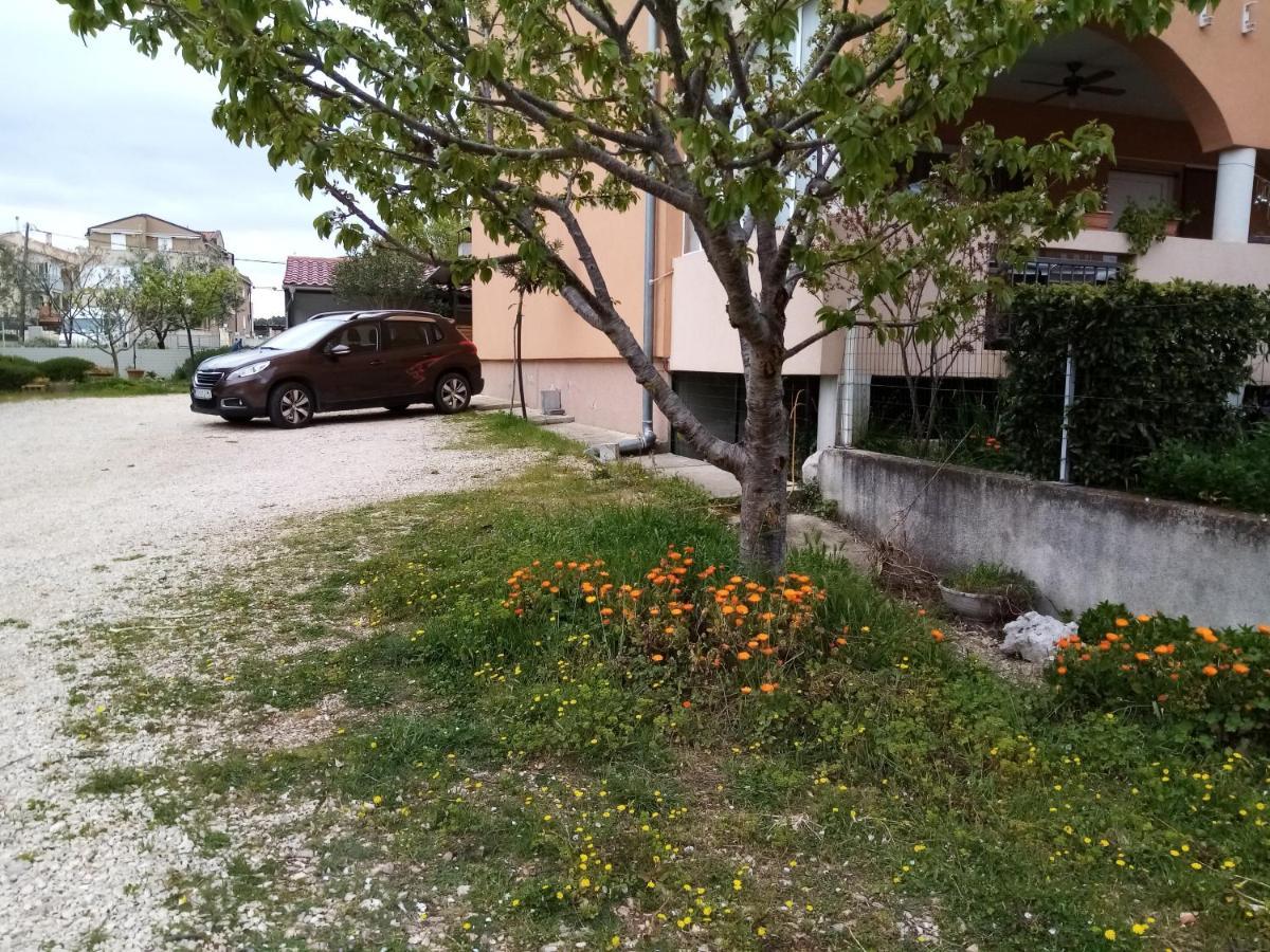 ביוגראד נה מורו Apartments Vanja Skara Biograd מראה חיצוני תמונה