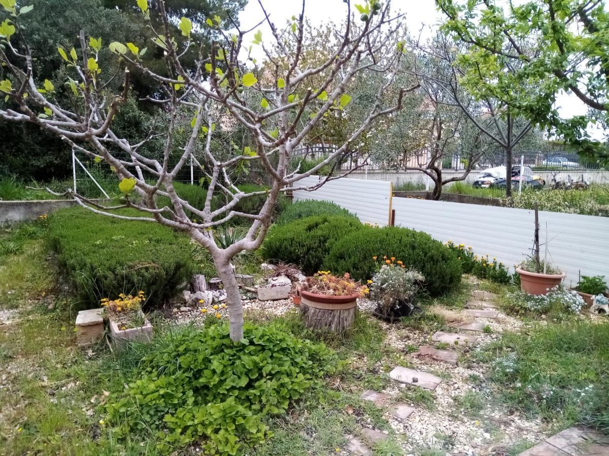 ביוגראד נה מורו Apartments Vanja Skara Biograd מראה חיצוני תמונה