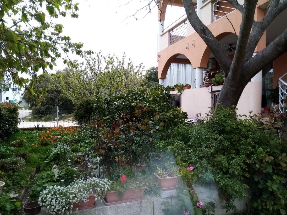 ביוגראד נה מורו Apartments Vanja Skara Biograd מראה חיצוני תמונה
