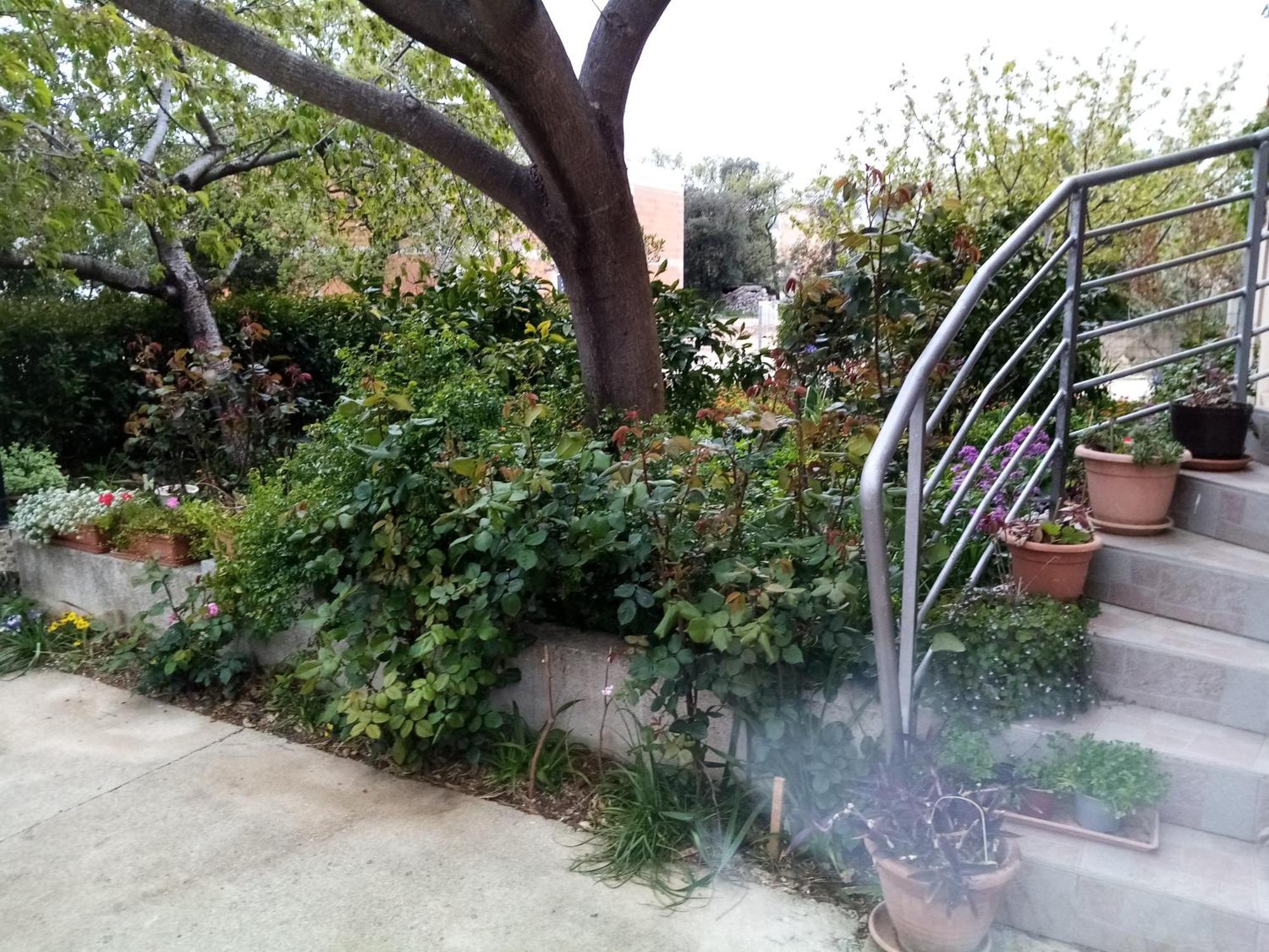 ביוגראד נה מורו Apartments Vanja Skara Biograd חדר תמונה