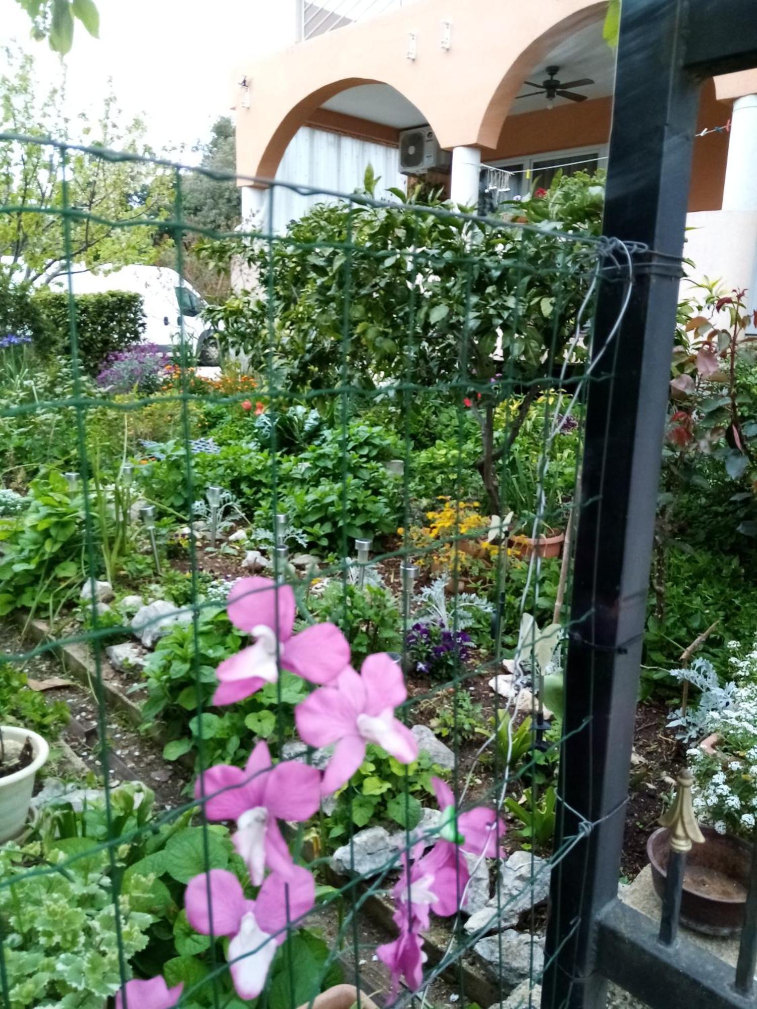 ביוגראד נה מורו Apartments Vanja Skara Biograd חדר תמונה